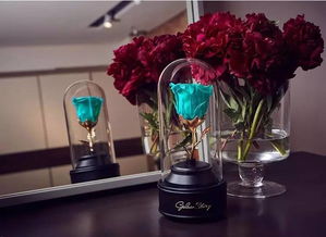 9折優惠丨送她一份永不凋謝的英式花禮，讓陪伴再久一點