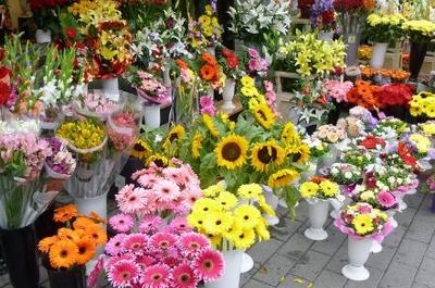 2018-2019年適合創(chuàng)業(yè)的20個(gè)好項(xiàng)目推薦 禮品花卉銷售引領(lǐng)潮流，年青人抓住機(jī)遇！