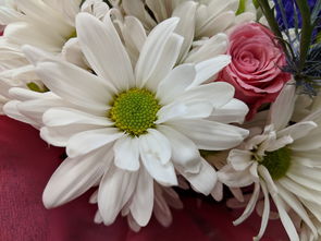 花語傳情 從自然之美到浪漫禮品的花卉銷售藝術(shù)